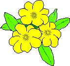 blomst